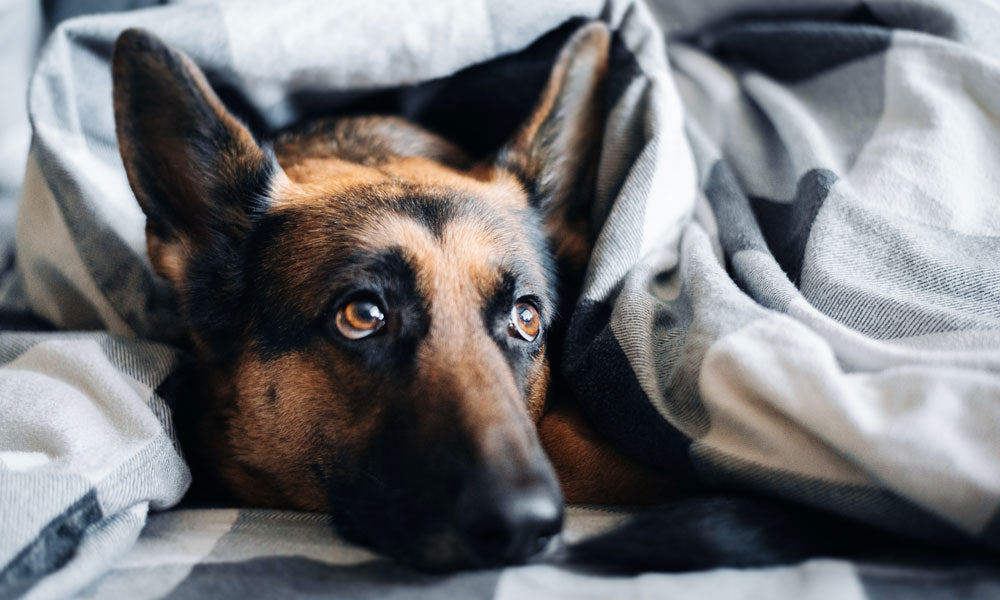 Photo by Ivan Kuznetsov on Unsplash