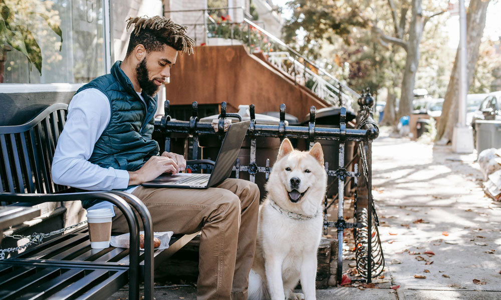 Husky photo by Zen Chung on Pexels