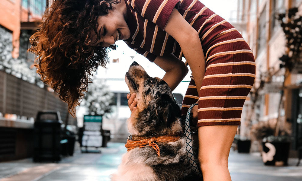 Dog hug photo by Alana Sousa on Pexels