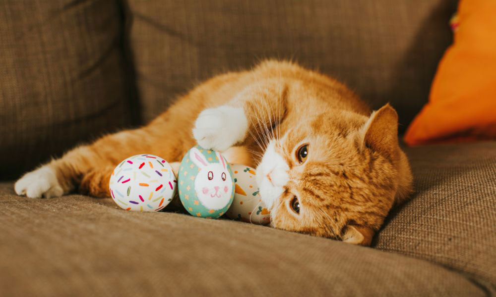 Ginger cat with Easter eggs