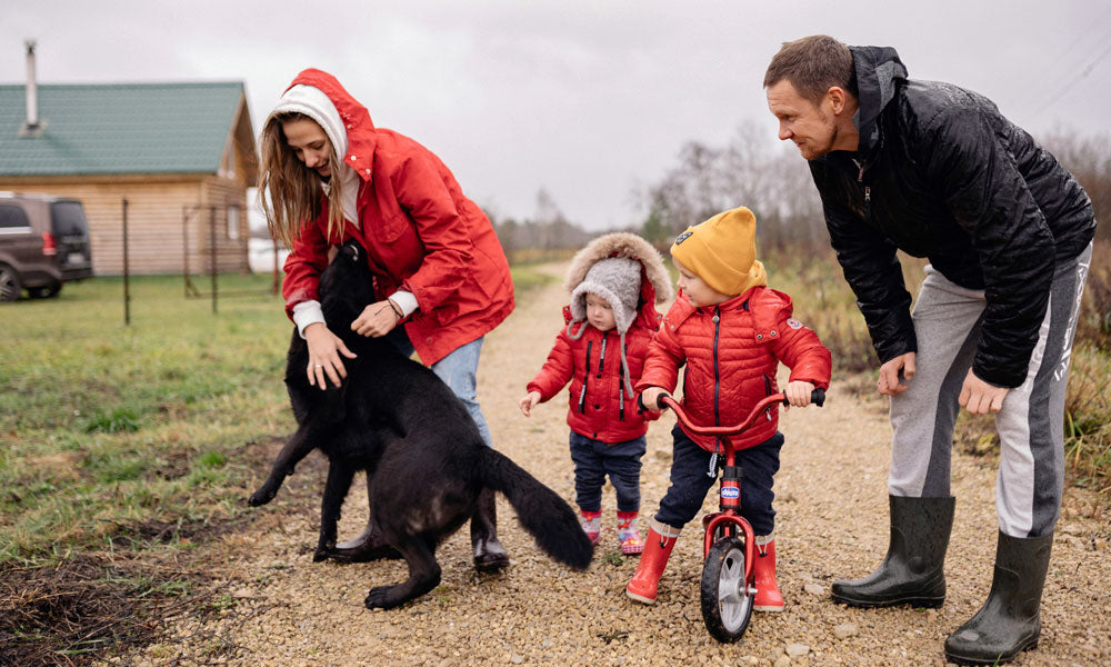 Family with dog photo by Yan Krukau on Pexels