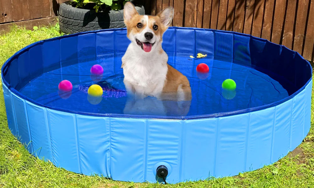 The Gravitis Pet Supplies Pool - Available in 3 sizes