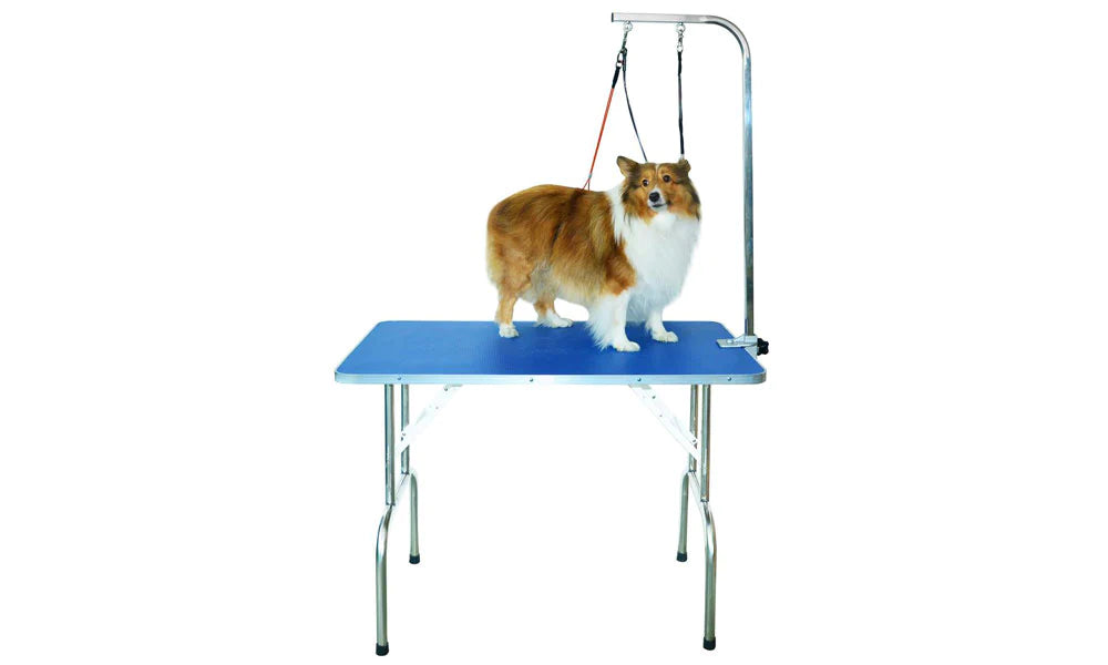 Professional Dog Grooming Table