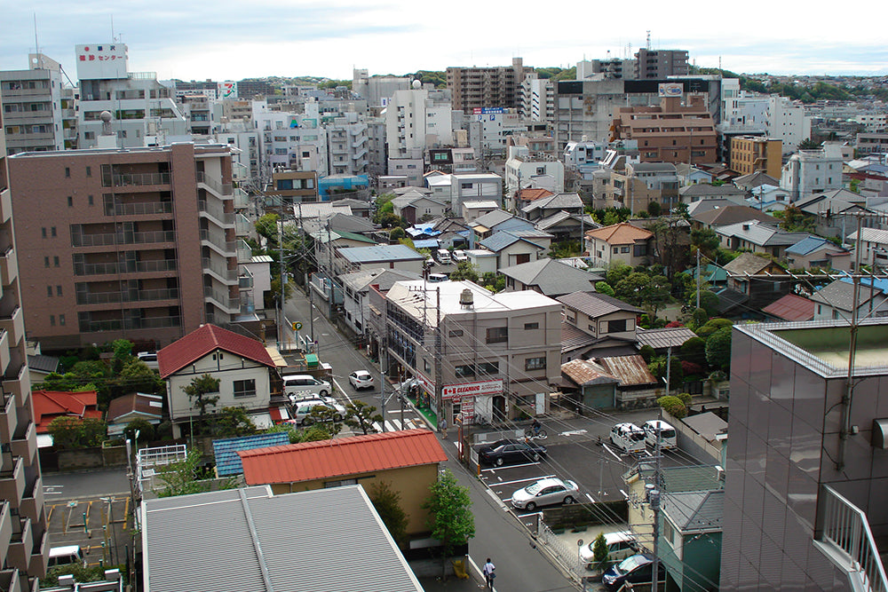 Smaller breeds are popular in Japan where many people live in apartments rather than houses - Pic by author