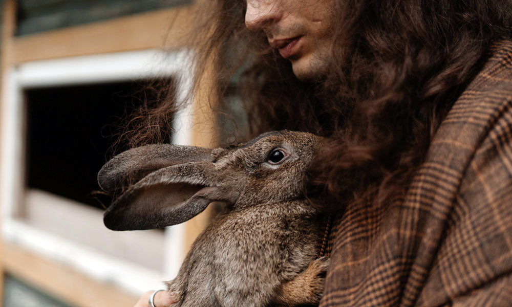 Pet rabbit photo by Cottonbro Studio on Pexels