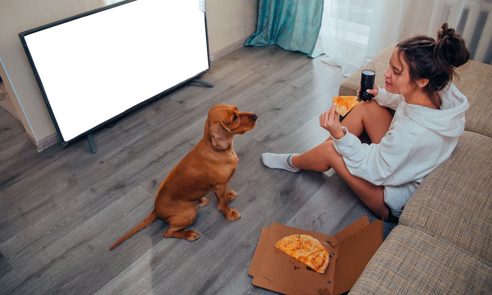 Pizza dog pic by Photo by Ivan Babydov on Pexels