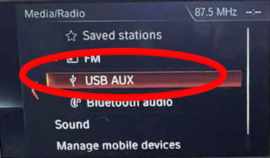 choose USB-AUX in BMW EVO car interface