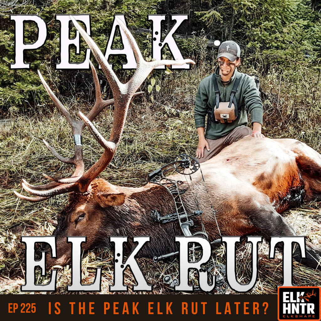 Is the PEAK Elk Rut Later than we thought? ElkShape