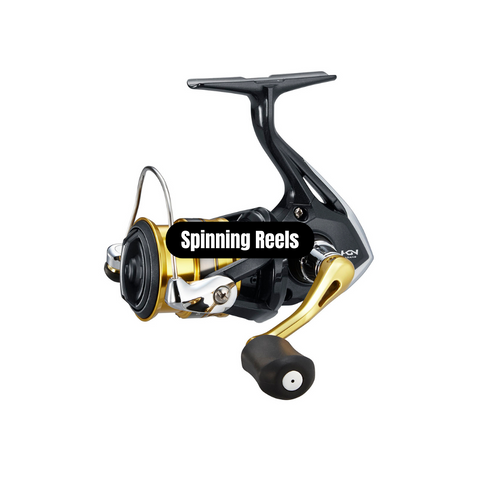 Spinning Reel