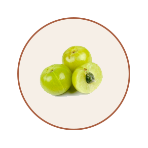 Amla Ingredient