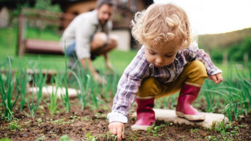 6 Composting Projects for Kids – Motherlove Herbal Company