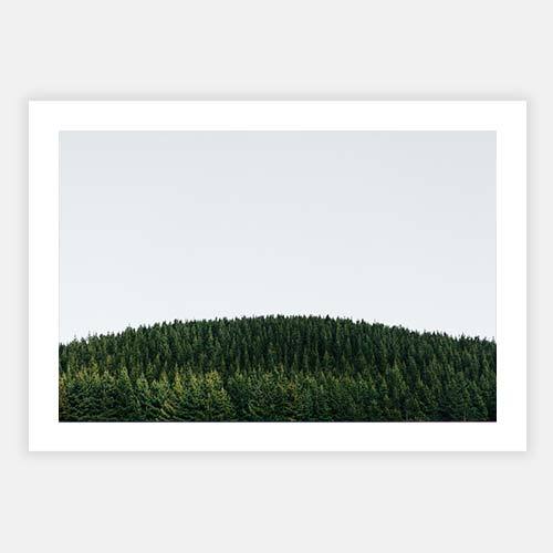Trees Two by Matt Johnson - FINEPRINT co