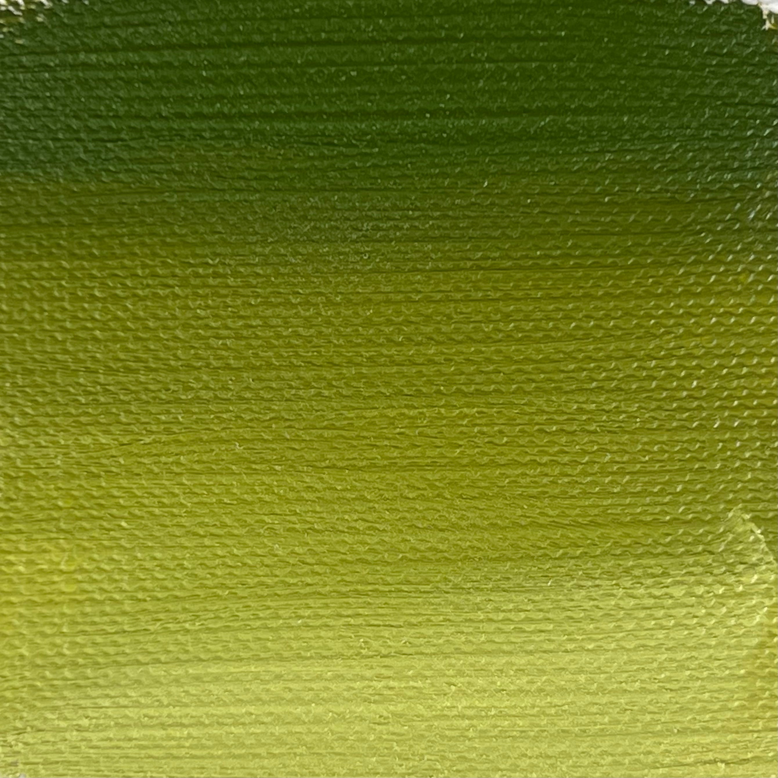 Buy #198 Fluorescent Green - Lightfastness:, - Transparent Online