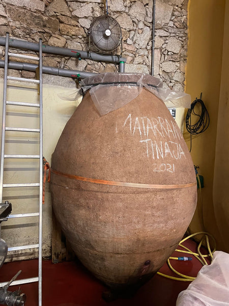 Amphora hos 4 Monos