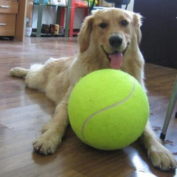 Doggy Jumbo Ball
