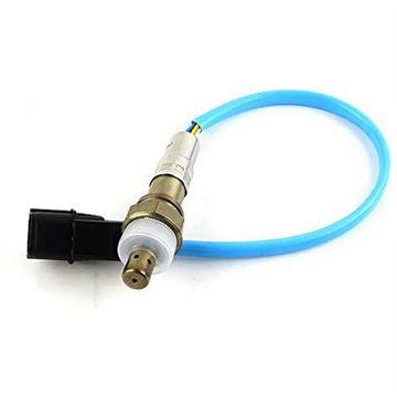 Rye dropshipping Products