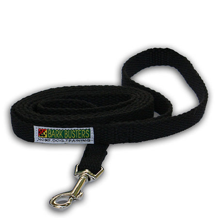 anti theft dog lead and collar