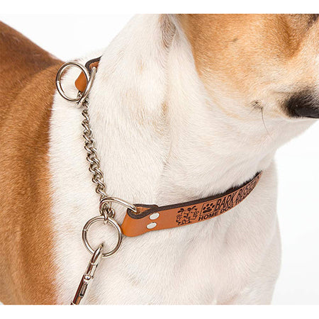 dorp onderdelen Dierentuin Bark Busters Leather Communication Training Collar | Global Dog Company –  globaldogcompany