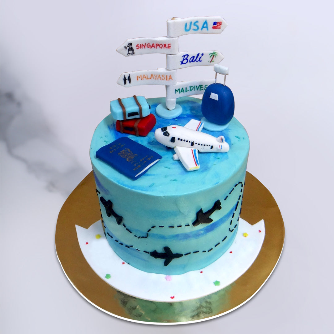 simple travel themed cake