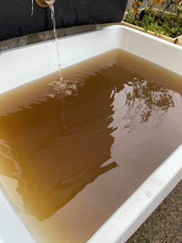 a white tub filled with disgusting brown water