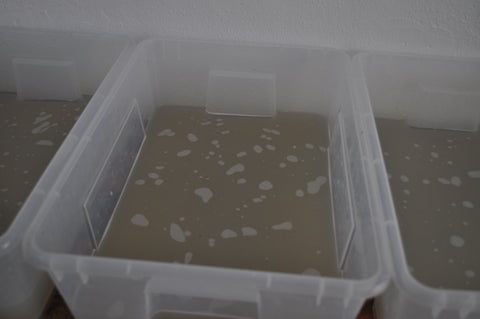 a clear tub half filled with dirty water