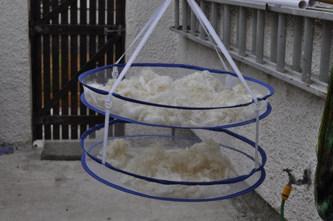 a hanging clothes airer is filled with fluffy white fleece. its two circles of mesh one above the other with blue binding around the edge