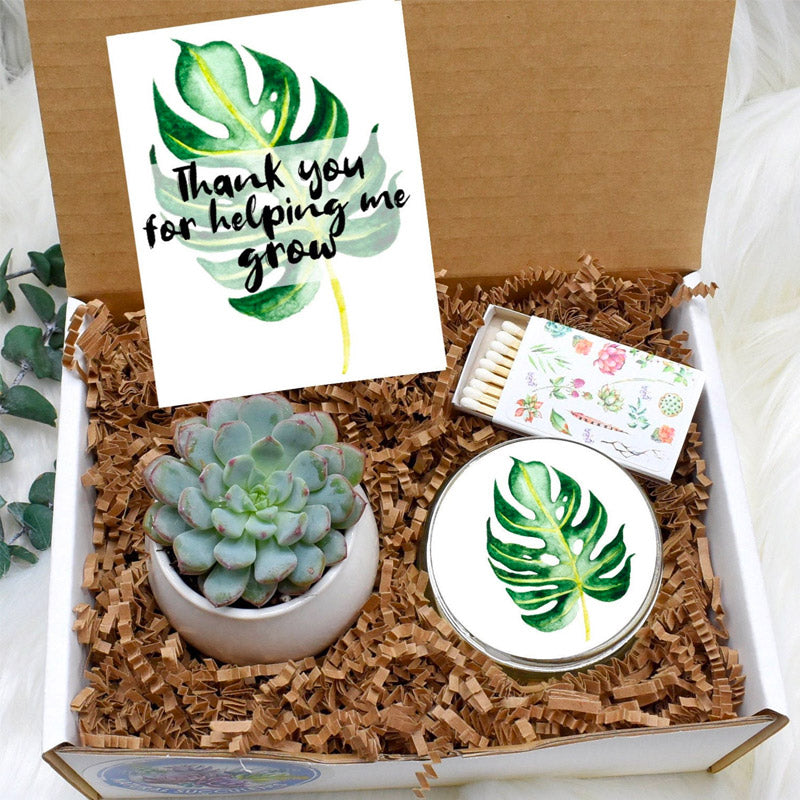 Thanks for helping me grow succulent box