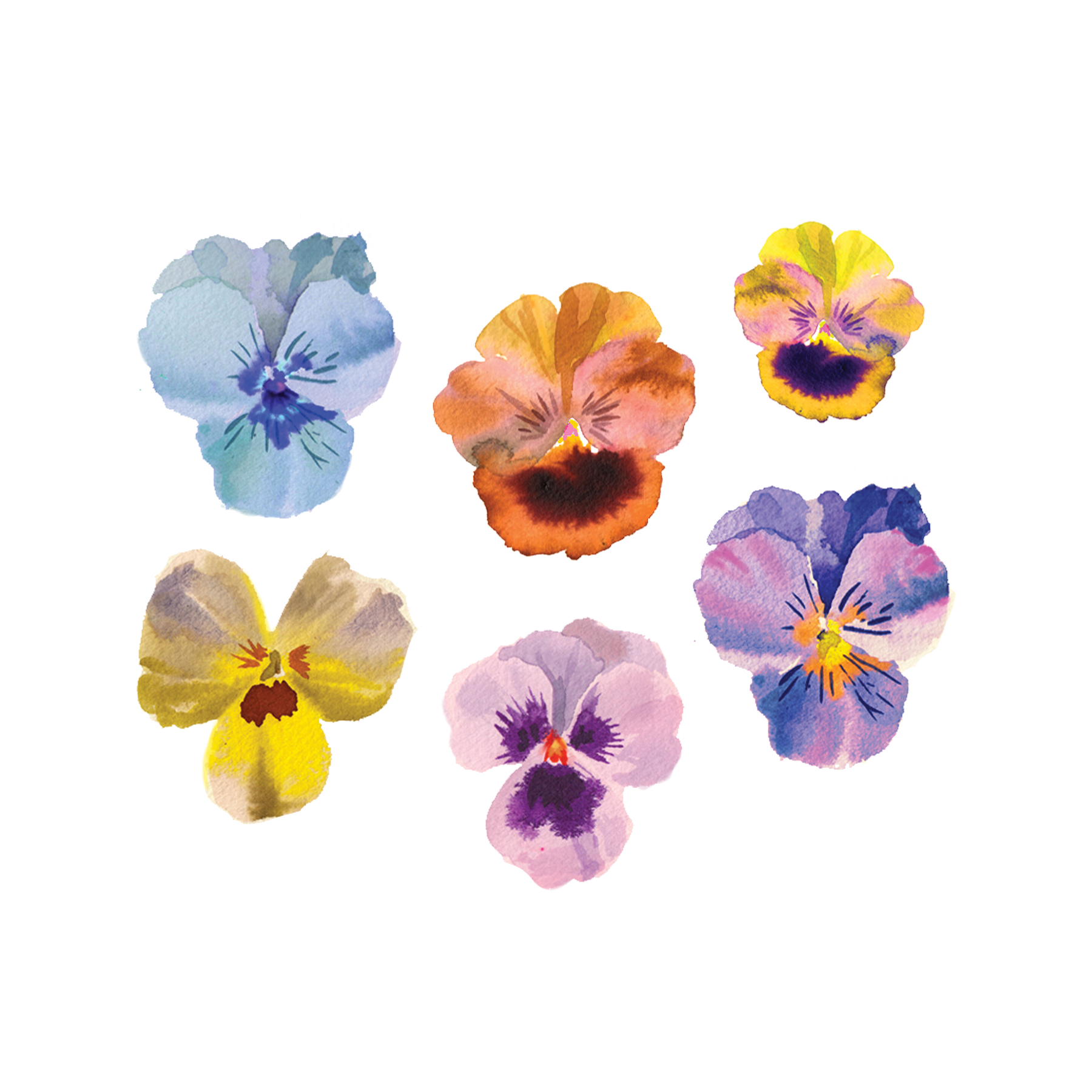 Karolina Myśliwiec on Twitter Simple small beautifull  tattoo flower  tattooedgirls httpstcokL4P6EkYJh  Twitter