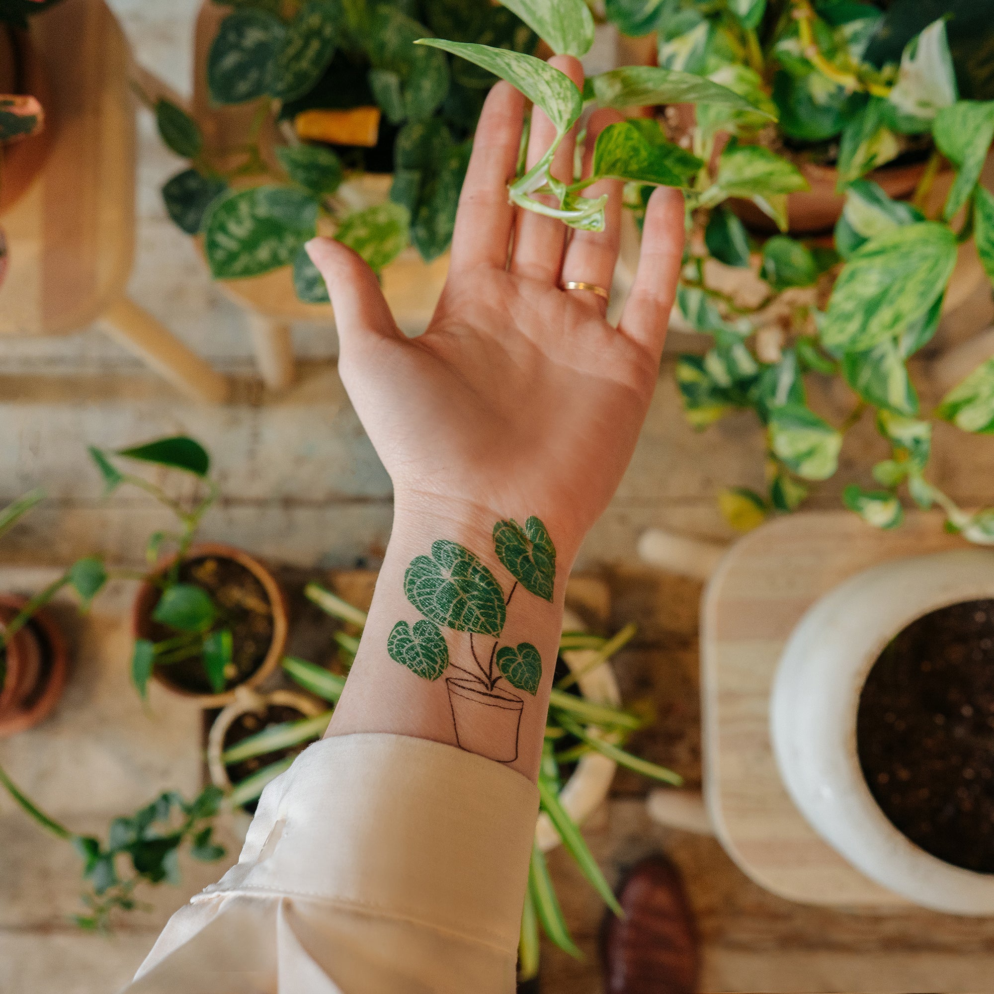 20 Simple Plant Tattoos