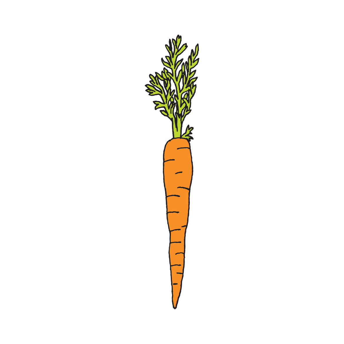 Carrot by Julia Rothman from Tattly Temporary Tattoos