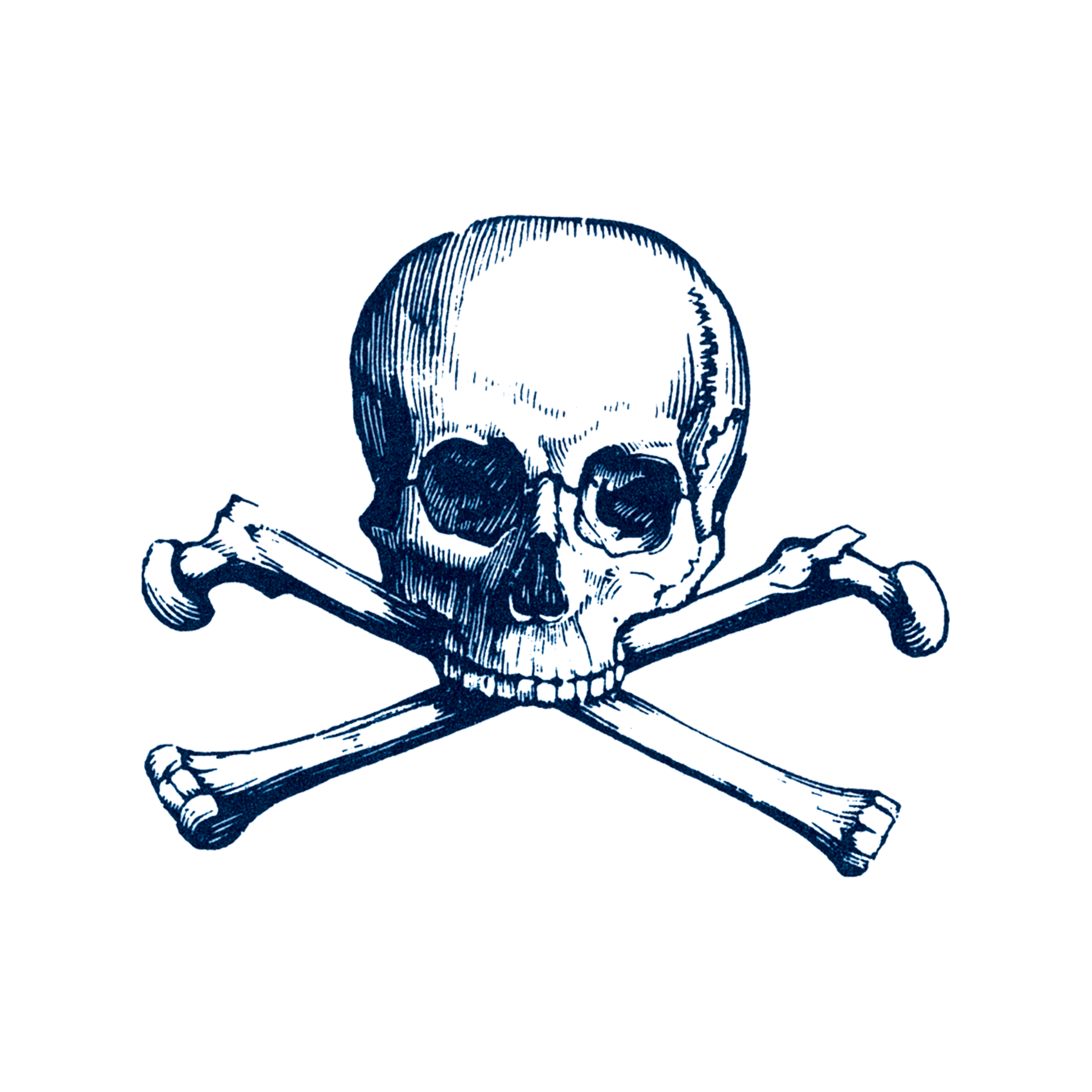 skull and bones drawing easy  Clip Art Library