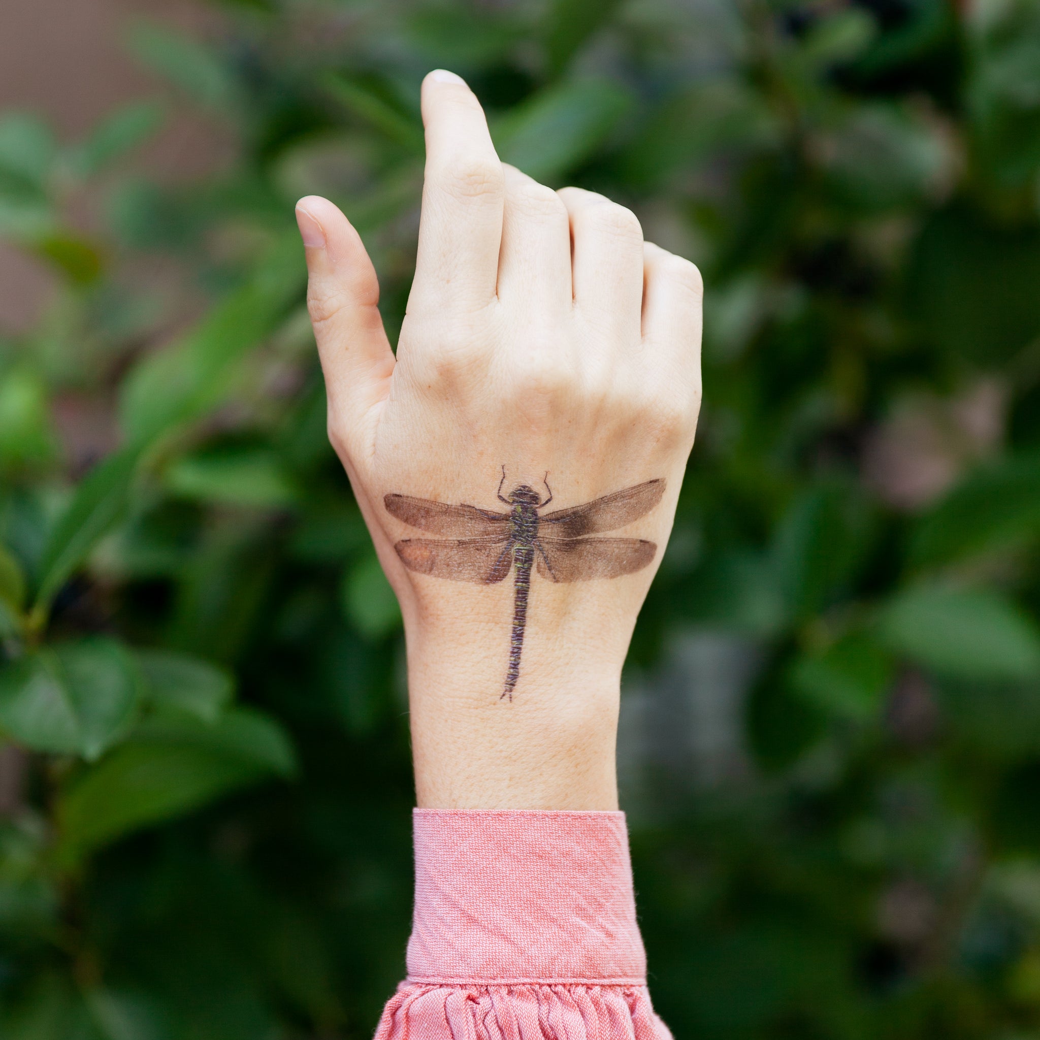 The girl with the dragonfly tattoo 