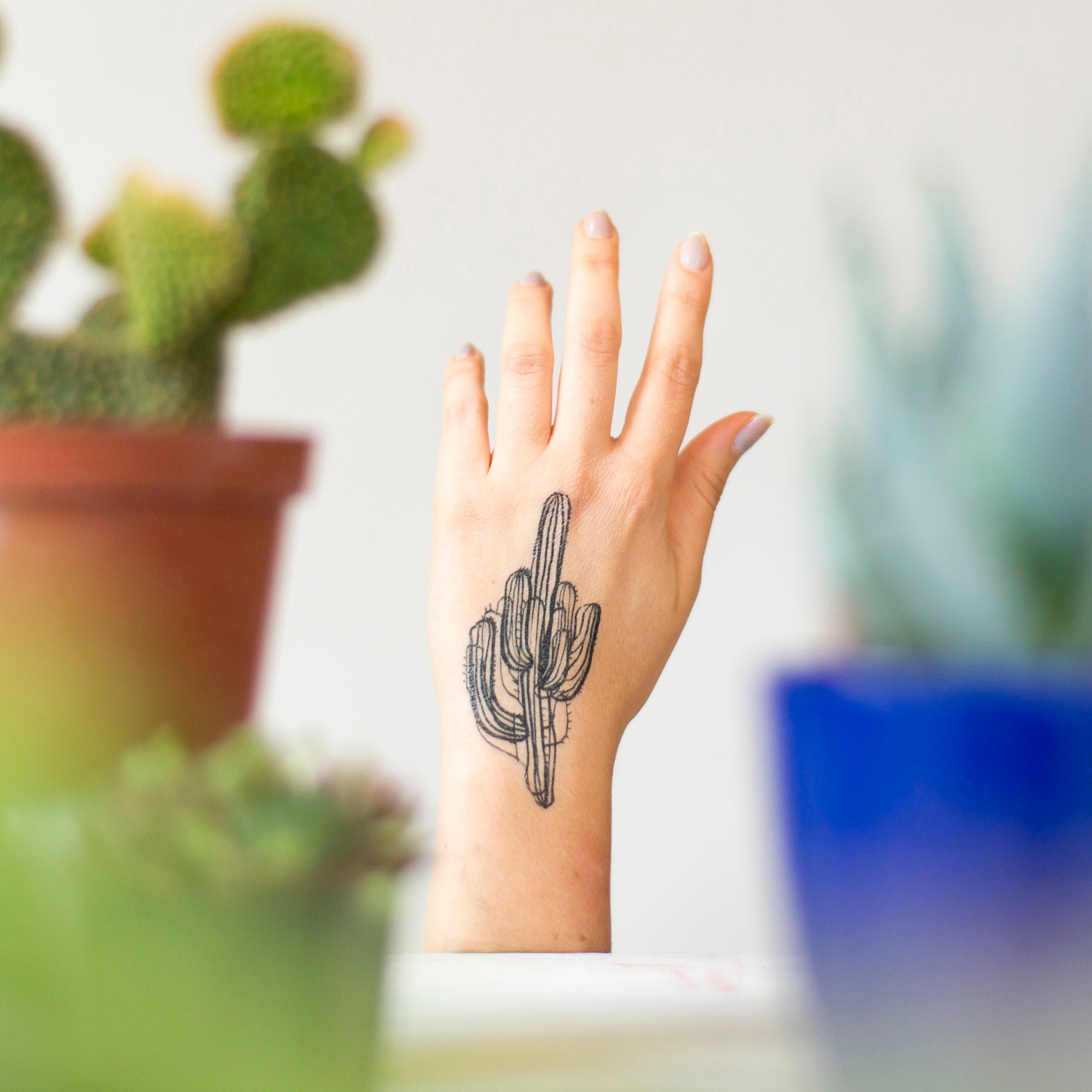 29 Cool Cactus Tattoo Ideas for Men  Women in 2023