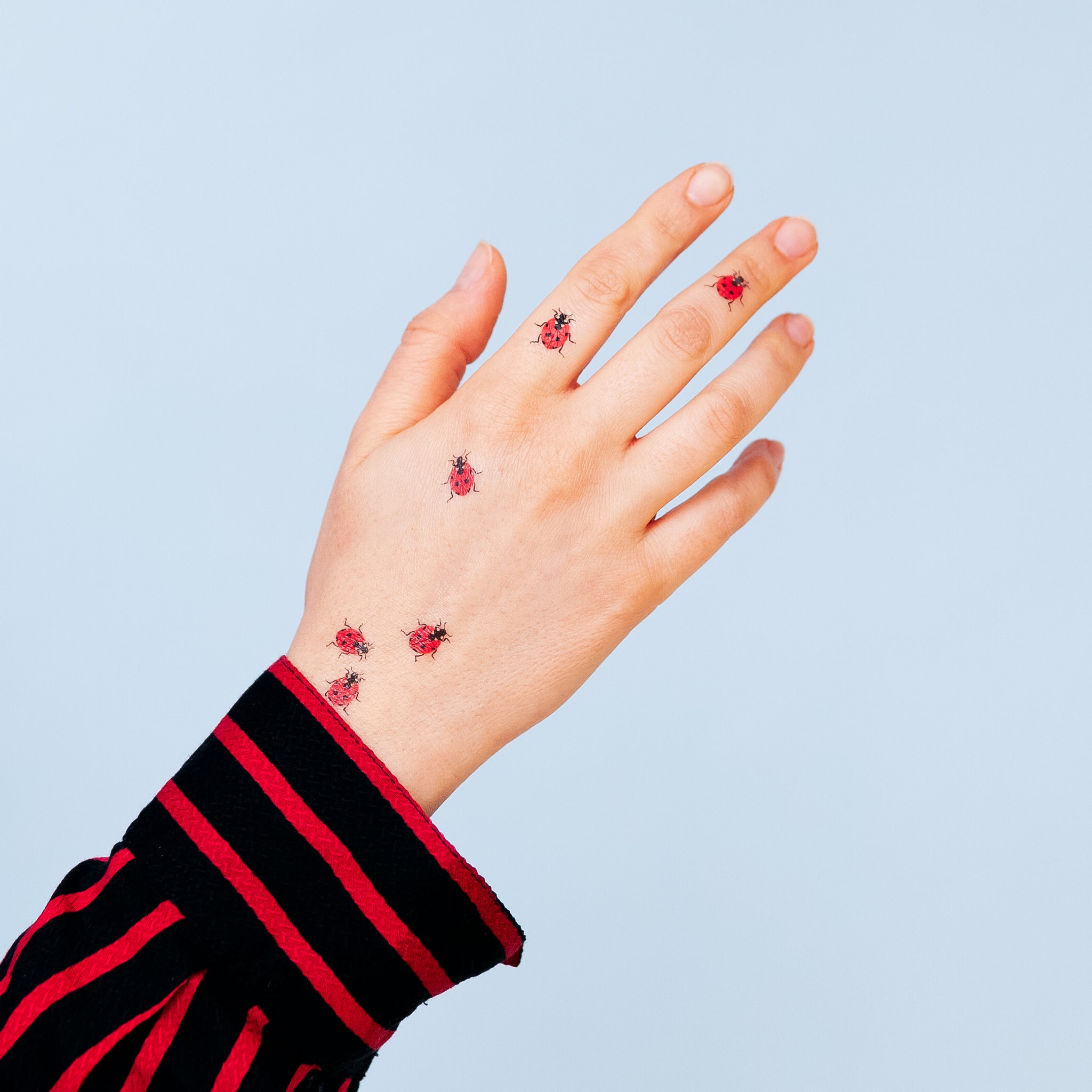 ladybug tattoo with lineTikTok Search