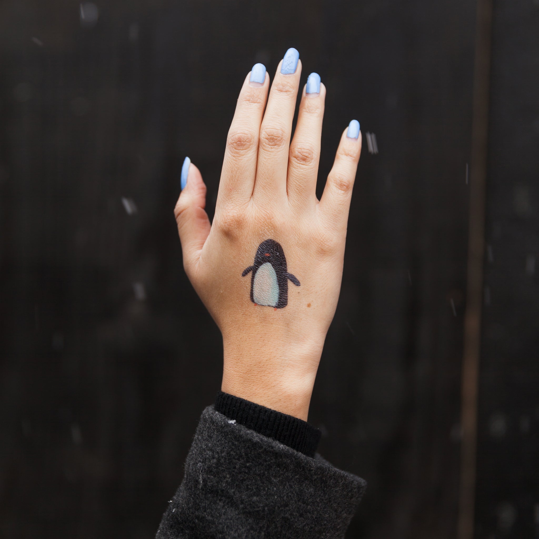 Penguin By Oliver Jeffers Tattly Temporary Tattoos