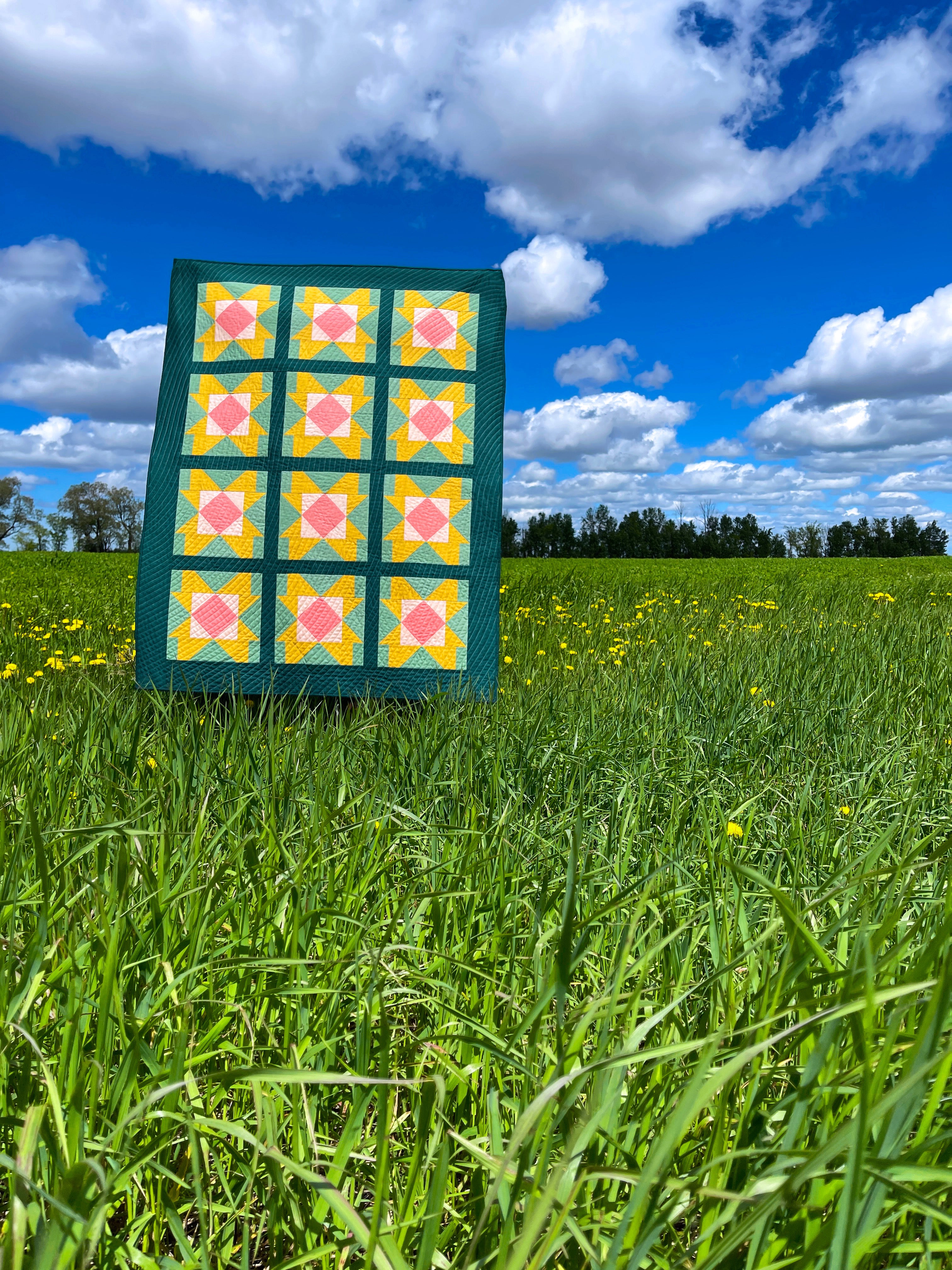 Prairie Rose Cover Field