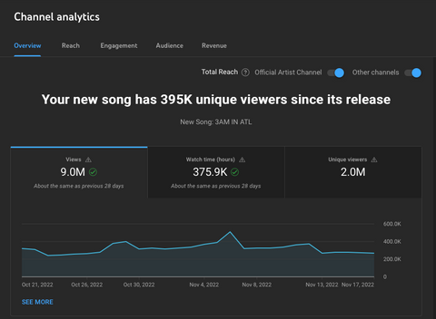 YouTube Ad Results