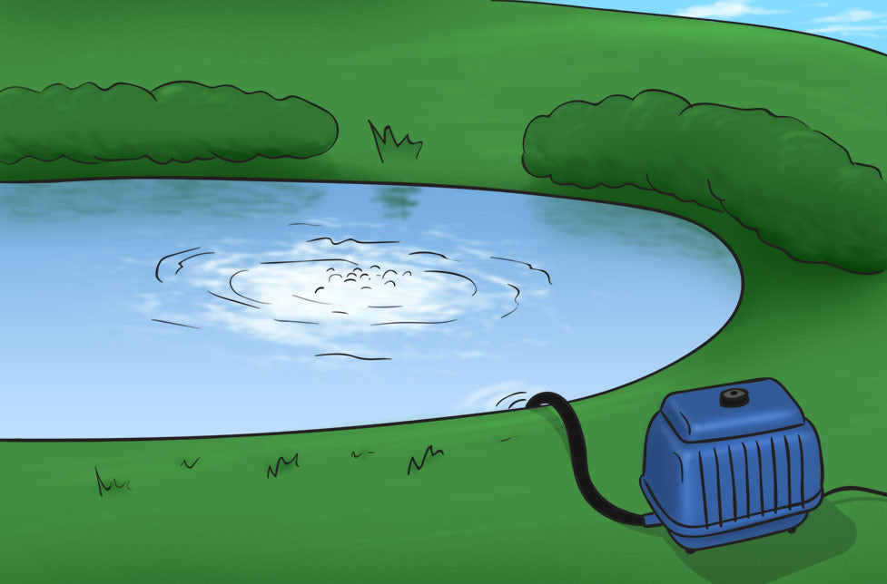 shallow pond aerator