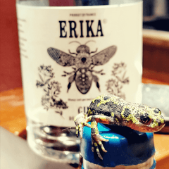 Erika Gin de Printemps un gin Made in France