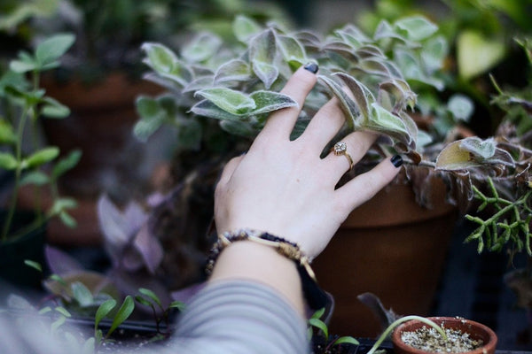 Woman's hand touching plants lovingly