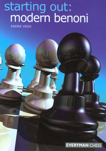 Playing the Najdorf by David Vigorito, Opening chess book by