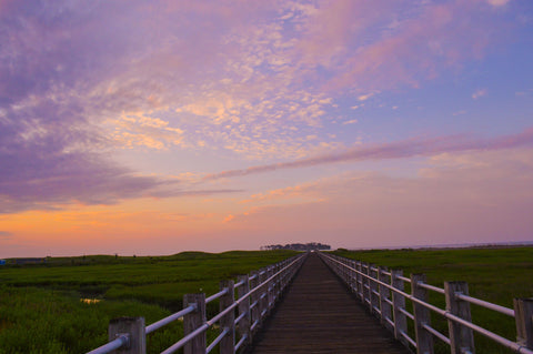 A boardwalk leading through scenic marshland beneath a tranquil, purple sky