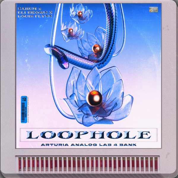 loophole analog lab