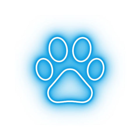 Stylized outline of a dog paw in blue neon glow, decorative graphic