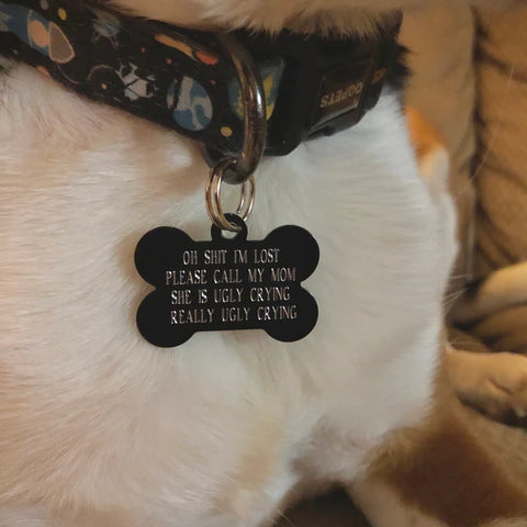 Close-up of a white dog's neck featuring a black bone-shaped pet tag with the humorous phrase 'Oh shit I'm lost, please call my mom she is ugly crying really ugly crying' engraved on it.