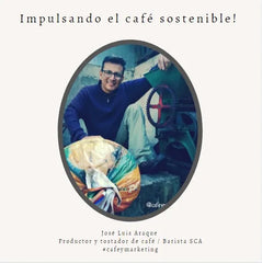 Impulsando el café sostenible, Baiguera & Gioffré, 2013