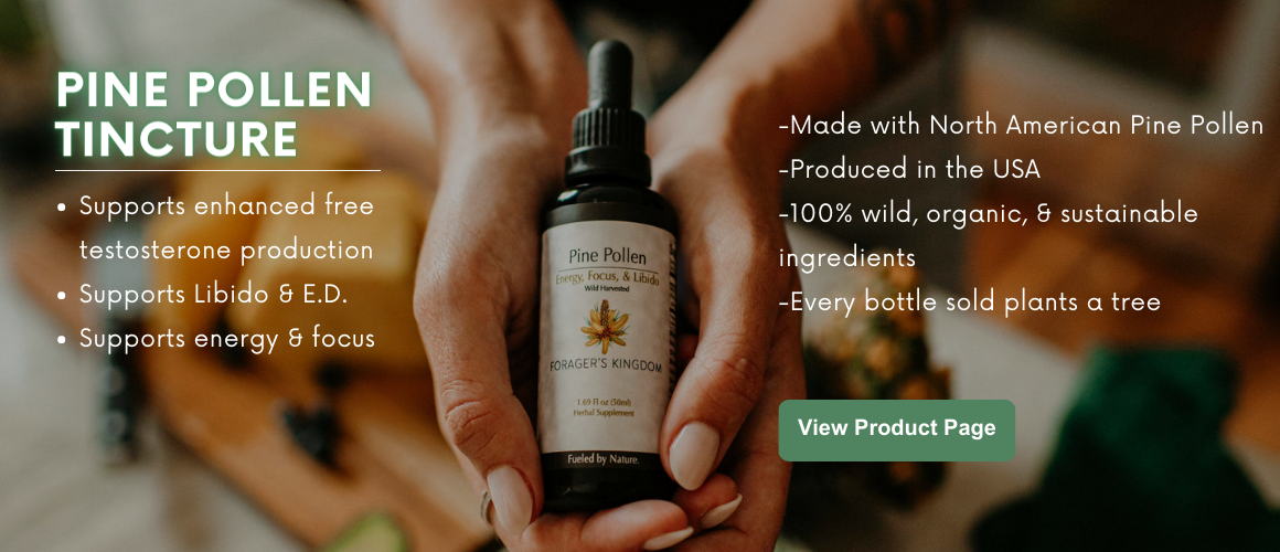 Buy Pine Pollen Tincture