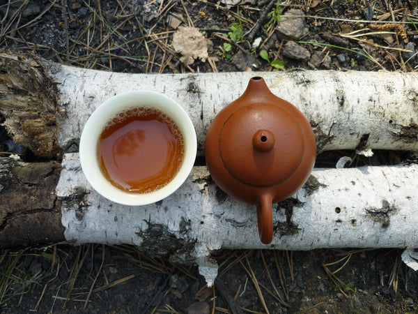 How to Make Chaga Tea