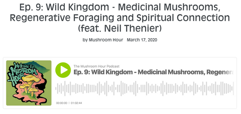 Wild Kingdom- The Mushroom Hour Podcast