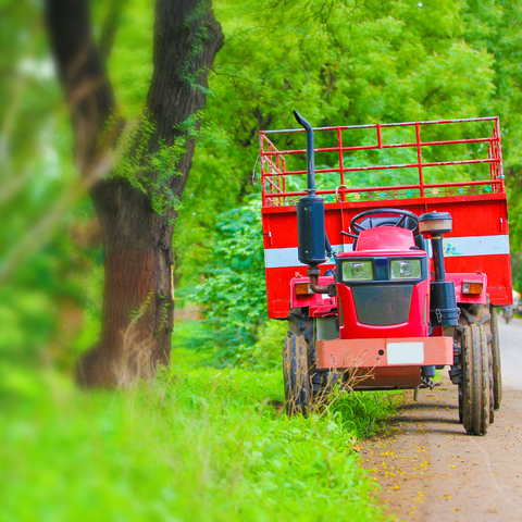 farming in india